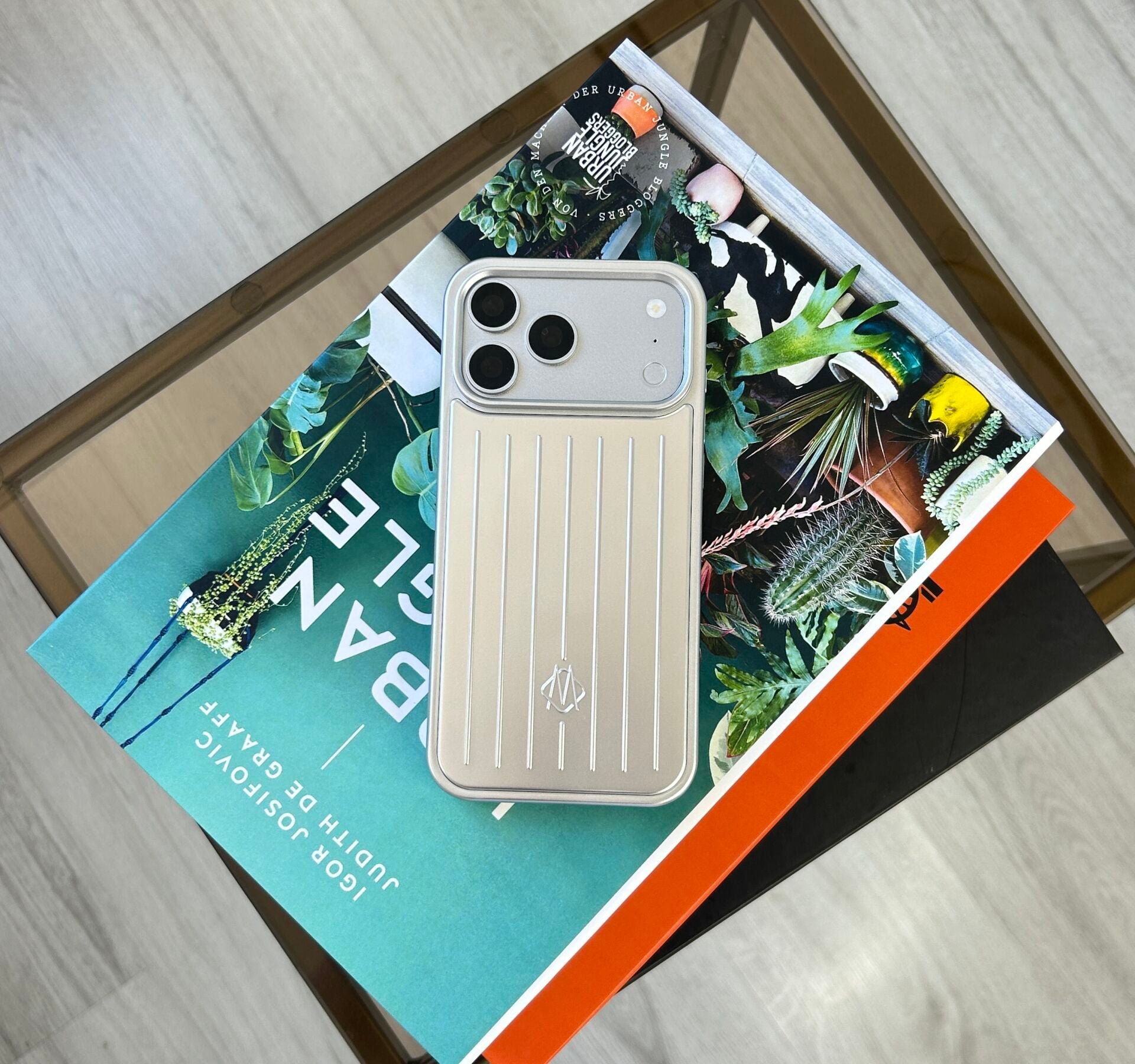 iPhone Rımowa Lansman Kılıf - Silver