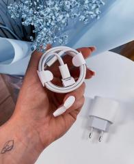 Apple 20W USB-C Şarj Aleti Takım