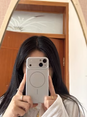 iPhone AG 17 Görünümlü Kılıf - Titanyum